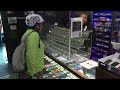 US poised to ease restrictions on marijuana, which could help cannabis industry  - 01:22 min - News - Video
