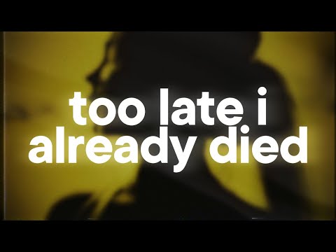 wifiskeleton - nope your too late i already died 💔 (slowed & reverb)