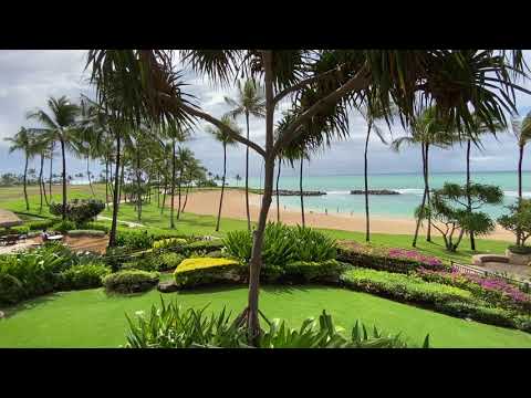 Property video
