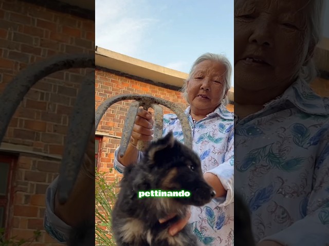 🪵🐶👵 Un pettine di legno per il cucciolo della nonna 🪵🐾💛