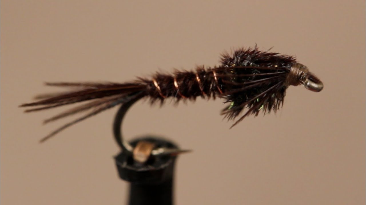 American Pheasant Tail Nymph YouTube