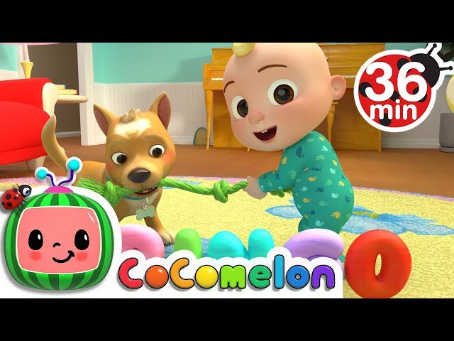 Bingo | +More Nursery Rhymes & Kids Songs - CoCoMelon