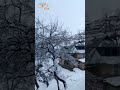 Winter Wonderland Returns to Jammu and Kashmir | Fresh Snowfall Blankets the Region | News9  - 00:43 min - News - Video