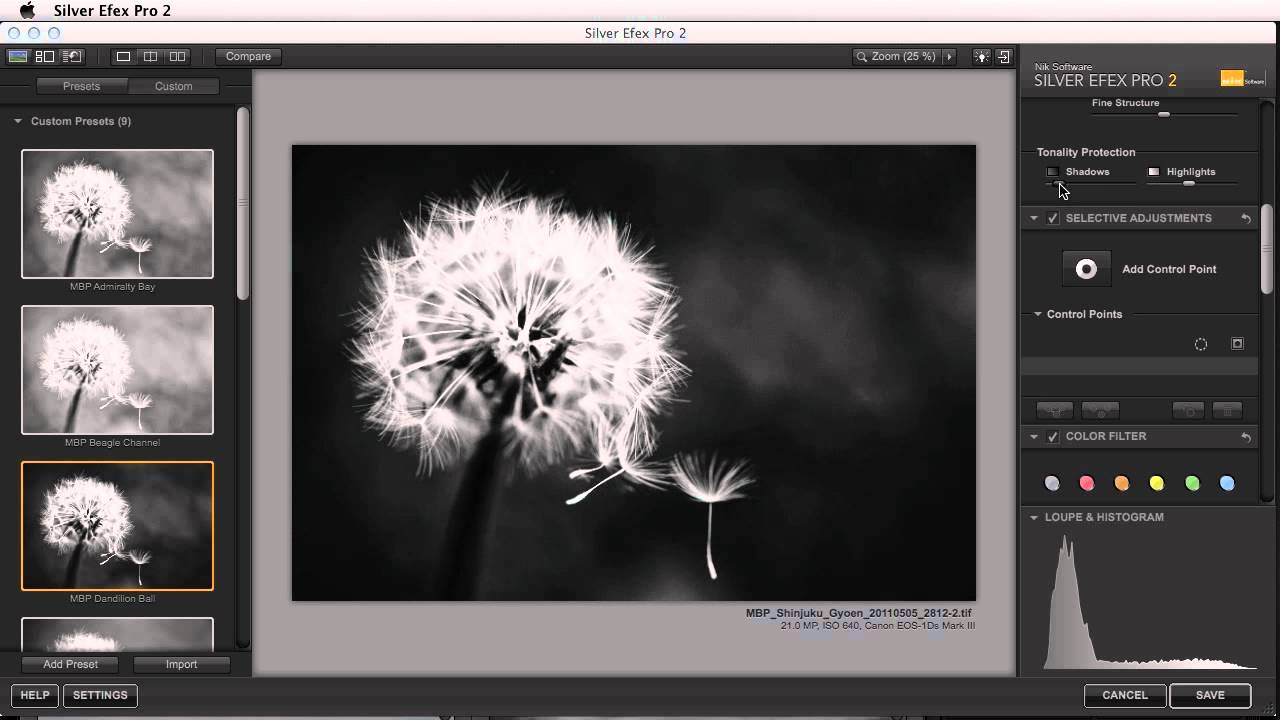 silver efex pro free download