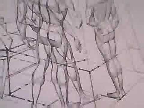 human body perspective drawing