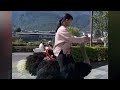 Girl Riding On Back Of Ostrich To School In China Stuns Internet