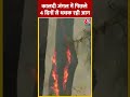 कालदी जंगल में पिछले 4 दिनों से धधक रही आग #shortsvideo #viralvideo #firenews #jammukashmirnews