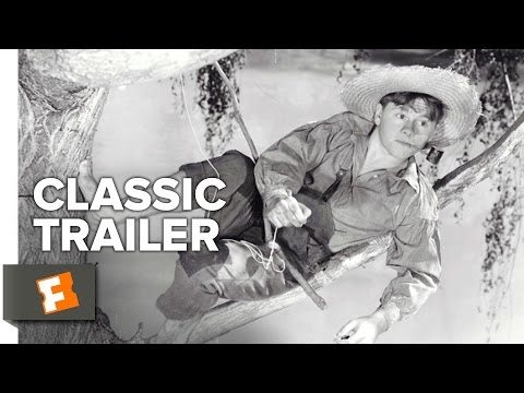The Adventures of Huckleberry Finn'