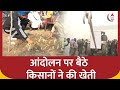 Farmers Protest: किसानों ने डिवाइडर पर कर डाली प्याज की खेती | ABP News