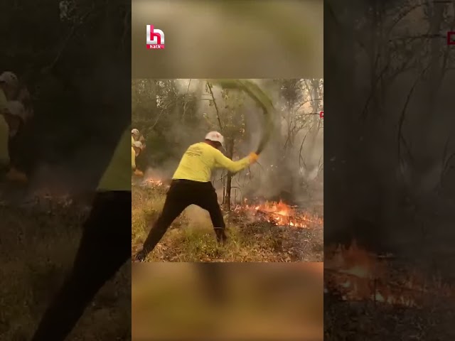 Sakarya'dan Bilecik'e sıçrayan orman yangınını söndürme çalışmaları devam ediyor...