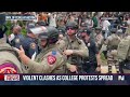 New pro-Palestinian protests on campuses across the country  - 03:38 min - News - Video