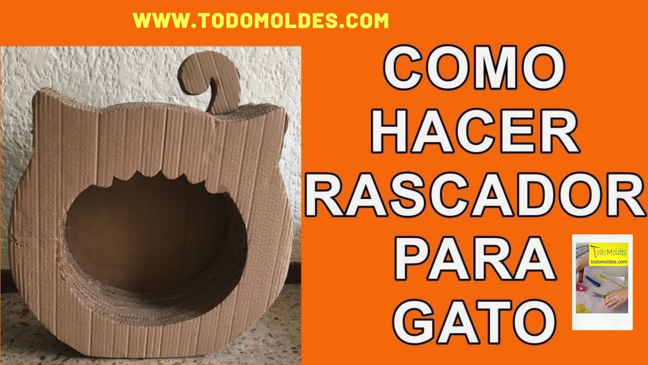 Como hacer comida casera para gatos