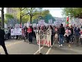 Pro-Palestinian protesters gather at MIT campus  - 00:39 min - News - Video