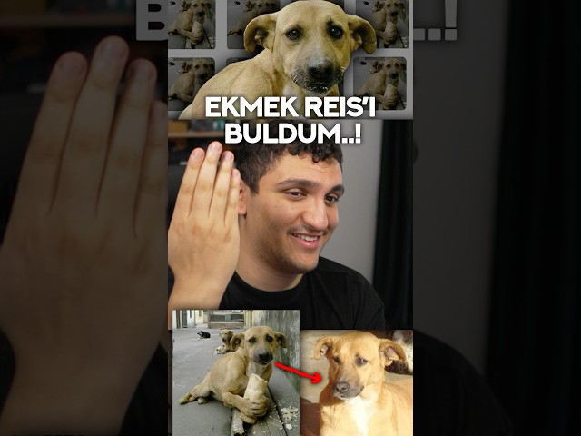 EKMEK REİS’İ NASIL BULDUM..?