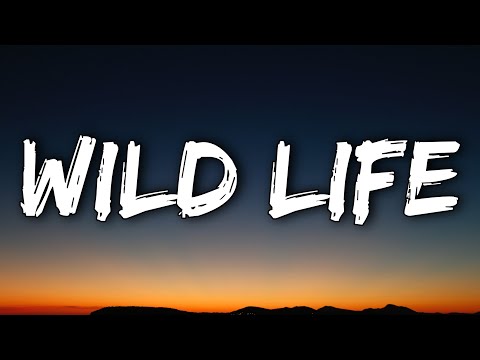 OneRepublic - Wild Life (Lyrics)