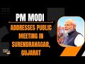 PM Modi addresses public meeting in Surendranagar, Gujarat | Lok Sabha Election 2024 | News9