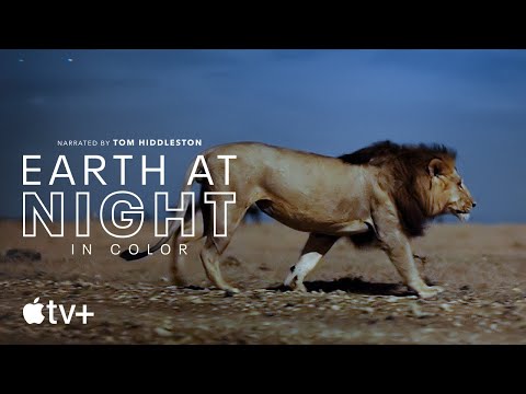 Earth at Night in Color'