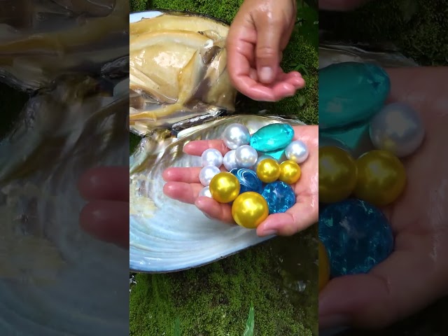 There are pearls everywhere in this river