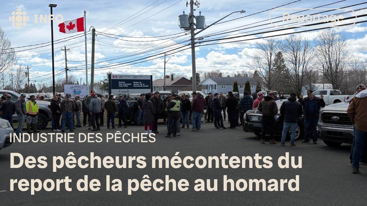 Des pêcheurs mécontents du report de la pêche au homard