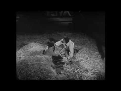 Johan en de Alverman'