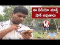 Bithiri Sathi Reporting Fake News!