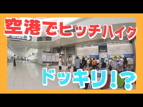 もしもヒッチハイク中のメンバーがいきなり空港に現れたらどんな反応をする!?【ヒッチハイクの旅】