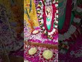 Kanchi Kamakshi Amman 🕉️🙏 Floral Decoration🌺🪷 with Gajamala 👌 #kotideepotsavam2023 #bhakthitv - 00:31 min - News - Video