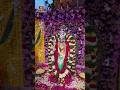 Kanchi Kamakshi Amman 🕉️🙏 Floral Decoration🌺🪷 with Gajamala 👌 #kotideepotsavam2023 #bhakthitv