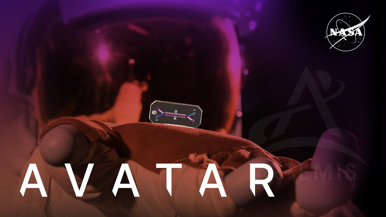 AVATARs for Astronaut Health Are Heading to Space!
