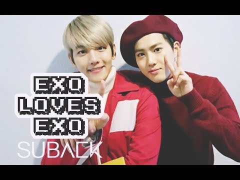 EXO LOVES EXO: SuBaek