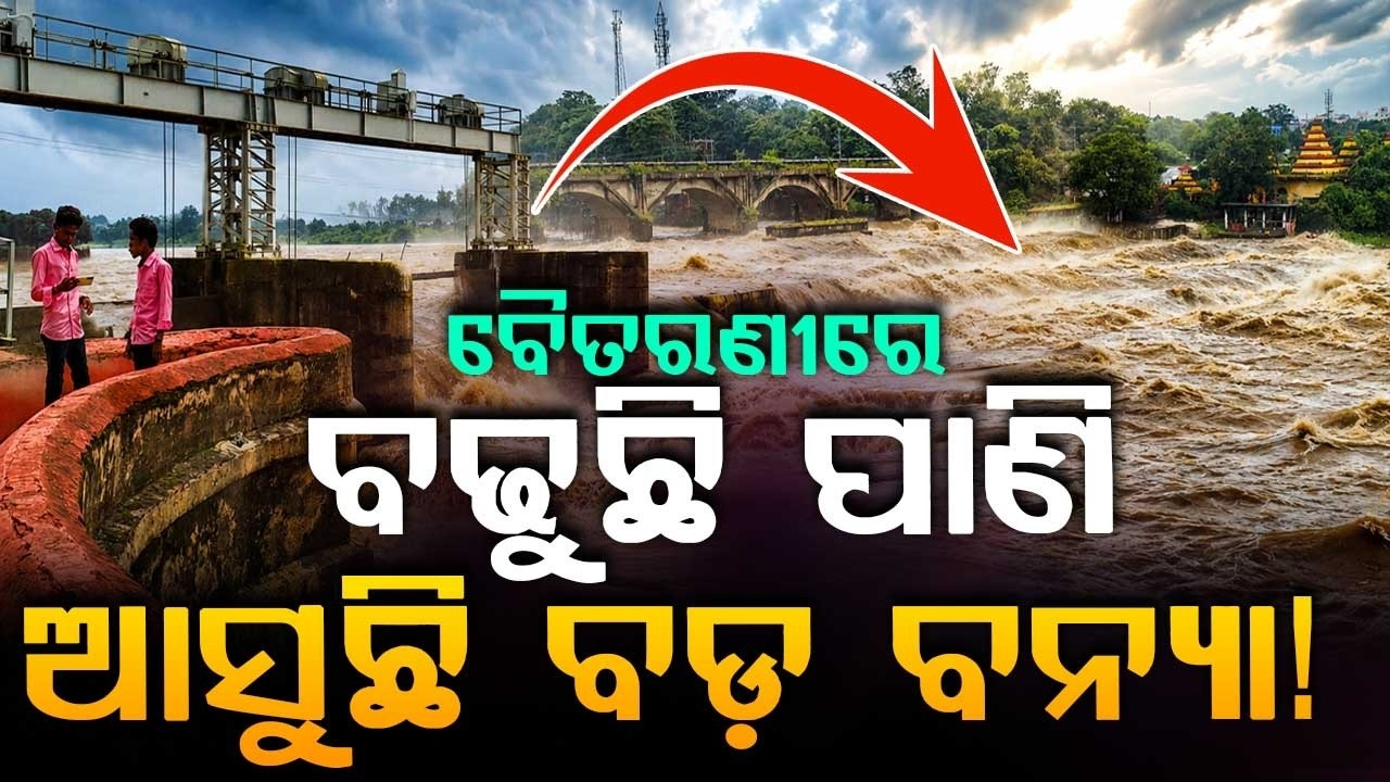 ଆସୁଛି ବଡ଼ ବନ୍ୟା! | Odisha Flood Alert | Baitarani River Level Rises | Flood Alert | Argus News
