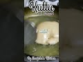 Kuttu ki Puri | Buckwheat Flatbread | Gluten Free Recipe by Manjula  - 00:44 min - News - Video