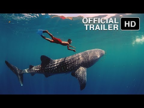 Journey to the South Pacific'
