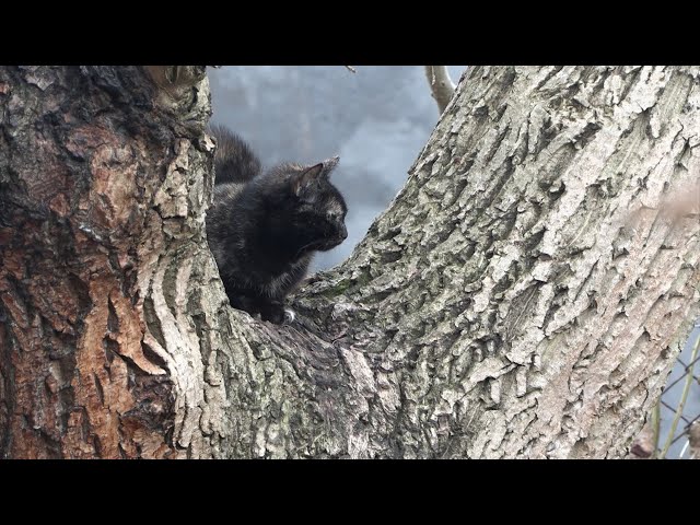 Informacje Piotrkowskie 15.11.2024