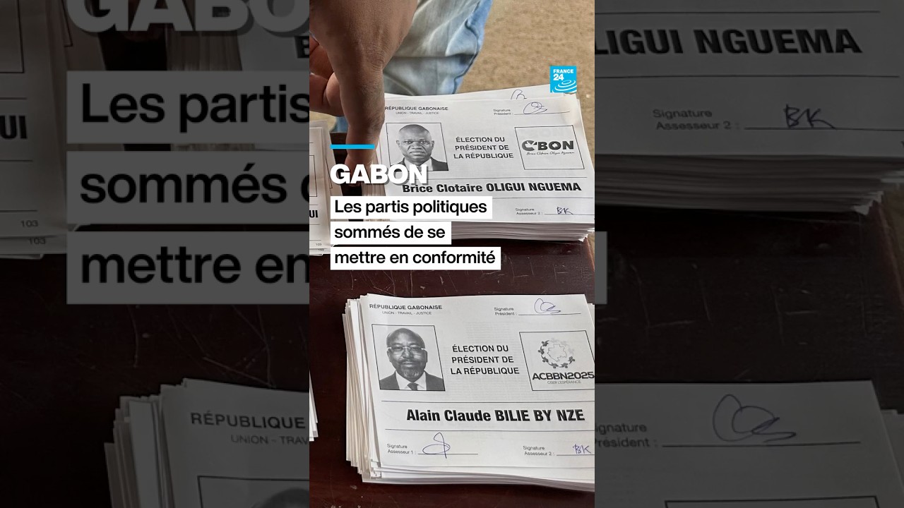 Au Gabon, les partis politiques sommés de se mettre en conformité • FRANCE 24