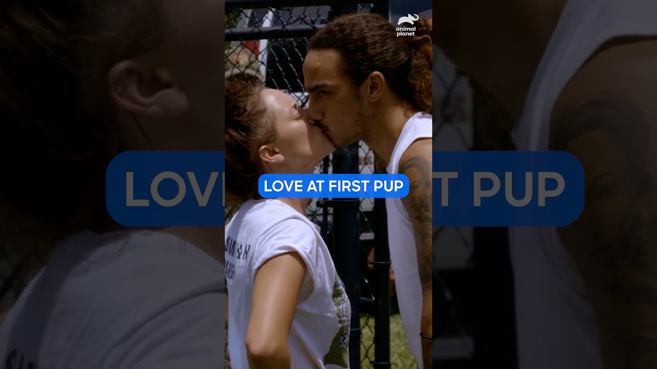 Saving Pups While Falling in Love! | Pit Bulls and Parolees | Animal Planet