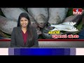 పులస చేప రుచి వెనుక సీక్రెట్ ఇదే..? | Godavari Special Pulasa Fish | hmtv  - 18:37 min - News - Video