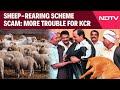 ED To Probe Rs 700 Crore Telangana Sheep Rearing Scheme In More Trouble For KCR