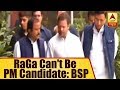 Rahul Gandhi cannot be PM candidate: BSP