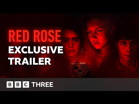 Red Rose'
