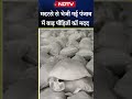 मदरसे से भेजी गई पंजाब में बाढ़ पीड़ितों को मदद | Punjab Flood | Shorts  - 01:01 min - News - Video
