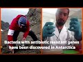 Bacteria with antibiotic resistant genes discovered in Antarctica  - 01:23 min - News - Video