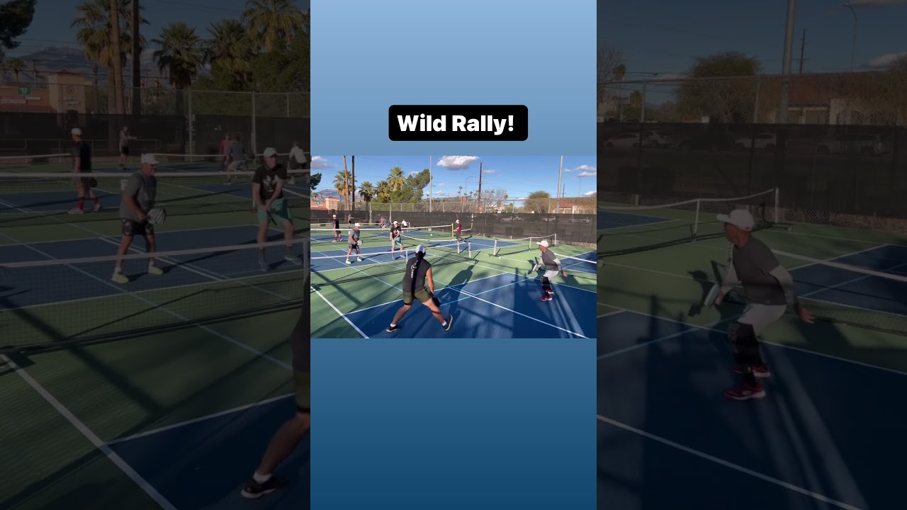 Wild Rally #pickleball #shorts