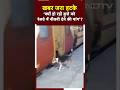 Khabar Jara Hatke | क्यों हो रही है कुत्ते को Railway में नौकरी देने की मांग?