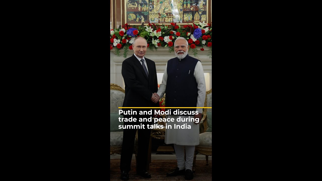 Putin and Modi discuss trade and peace at summit talks in India | AJ shorts