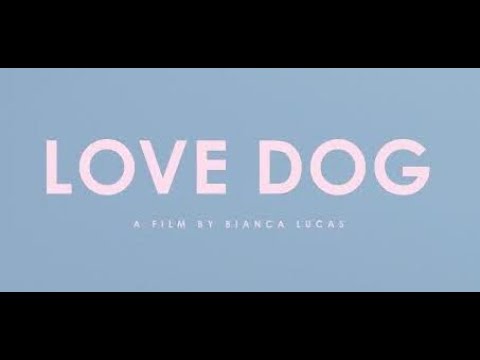 Love Dog'