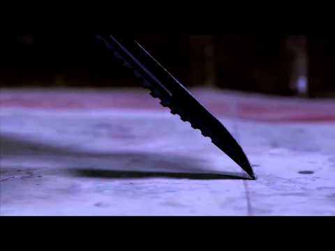 The Raid: Redemption'