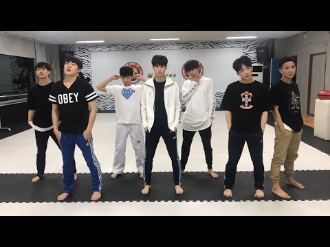 BTS 'DNA' cover Training