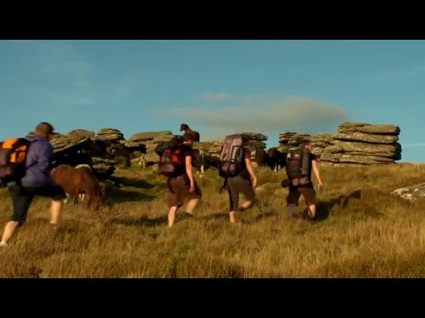 Stag Hunt'