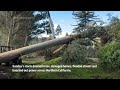 Giant tree crushes California home as powerful storm hits  - 01:24 min - News - Video